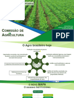 MAPA apresentação feita por ministra na CAPADR