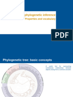 Introduction - Arbres - Phylogénique