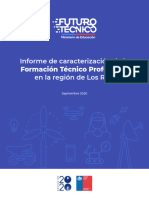 Informe de Caracterización Futuro Técnico Los Ríos Septiembre 2020 1