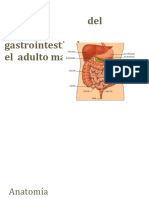 4.-Cambios del Aparato gastrointestinal en el adulto mayor