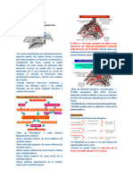 Copia de 1-Anato en ORL - Docx-10-13