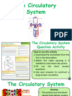 Circulation practice exam question