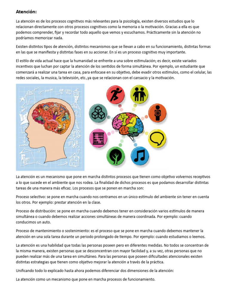 Atención Y Memoria Descargar Gratis Pdf Atención Memoria