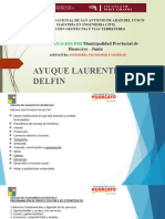Ayuque Laurente Delfin: Municipalidad Provincial de Huancayo - Junín