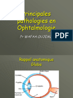 Les Principales Pathologie en Opht CHAP I