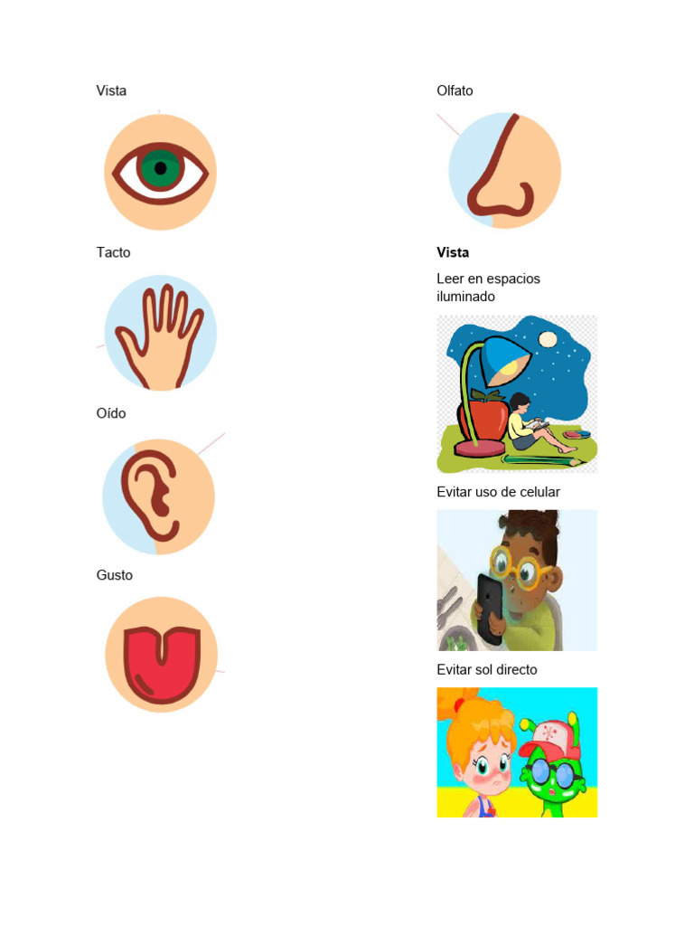 5 Sentidos Pdf