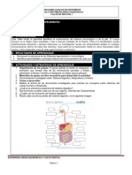 Taller de Inicio Medico Quirugica