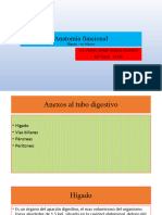 Anatomía funcional 16° Clase