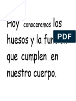 Hoy Conoceremos Los Huesos y La Función Que Cumplen en Nuestro Cuerpo