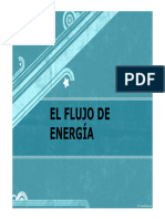 Clase 7 Flujo de Energía