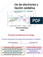 Transporte Electrónico y Fosforilación Oxidativa