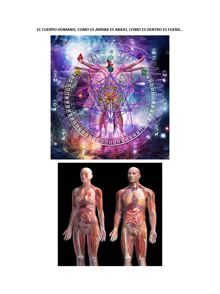 El Cuerpo Humano | Descargar gratis PDF | Dom | Oxígeno