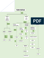 Mapa Conceptual de Los Tejidos Vegetales