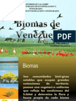 Biomas de Venezuela - Copia