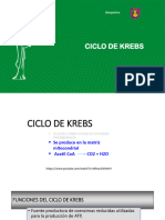 1F_4T_CICLO DE KREBS 2023