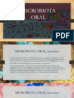 MICROBIOTA ORAL Presentacion