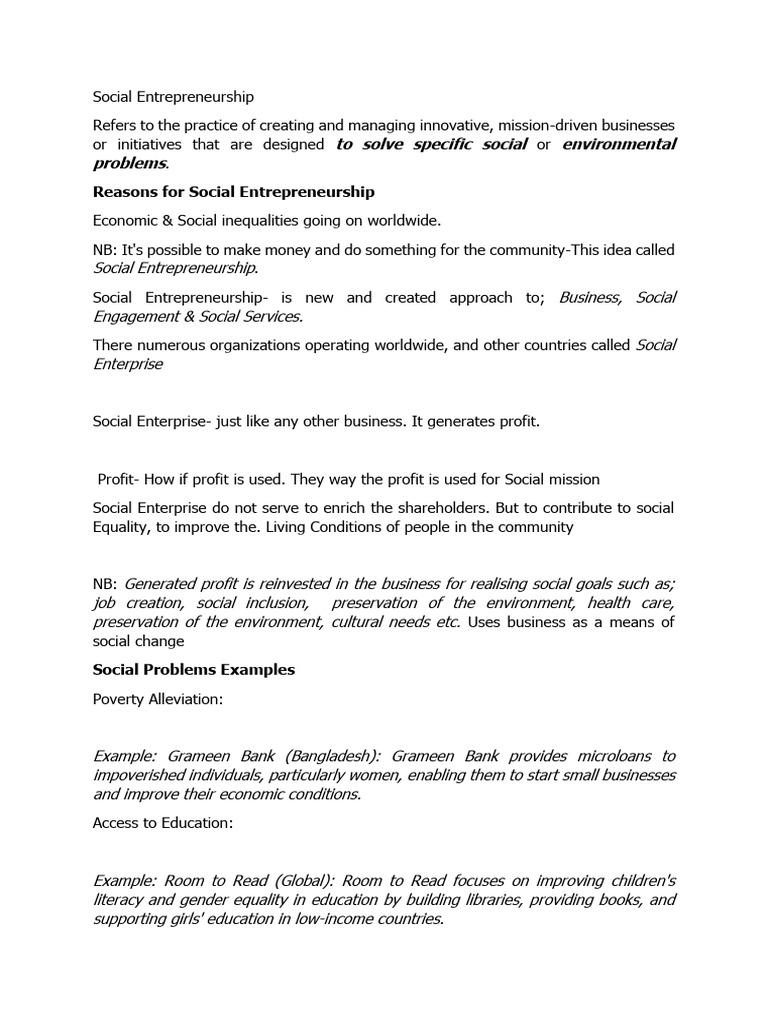 Understanding Social Entrepreneurship | PDF | Sustainability | Social ...