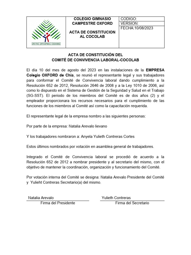 Formato Acta de Constitucion Del Cocolab | PDF | Negocios | Derecho