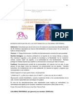 BIODESCODIFICACIÓN DE LOS SÍNTOMAS EN LA COLUMNA VERTEBRAL – Reconexión Ancestral