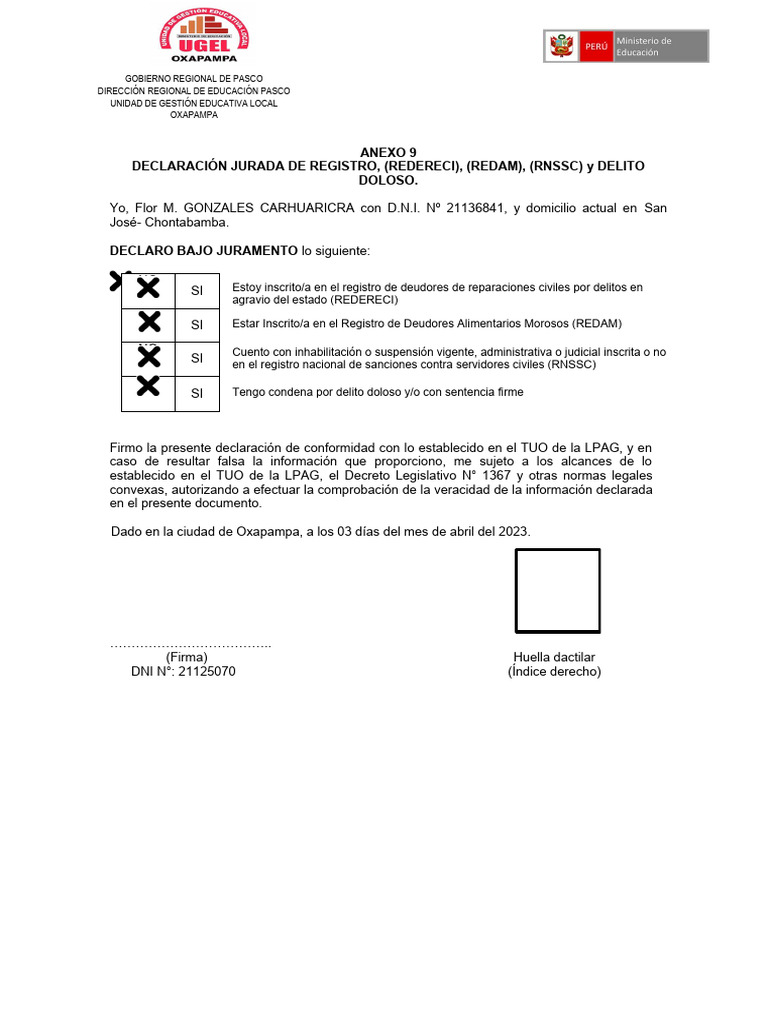Anexo 9: Declaración Jurada Educativa | PDF | Documento de identidad ...