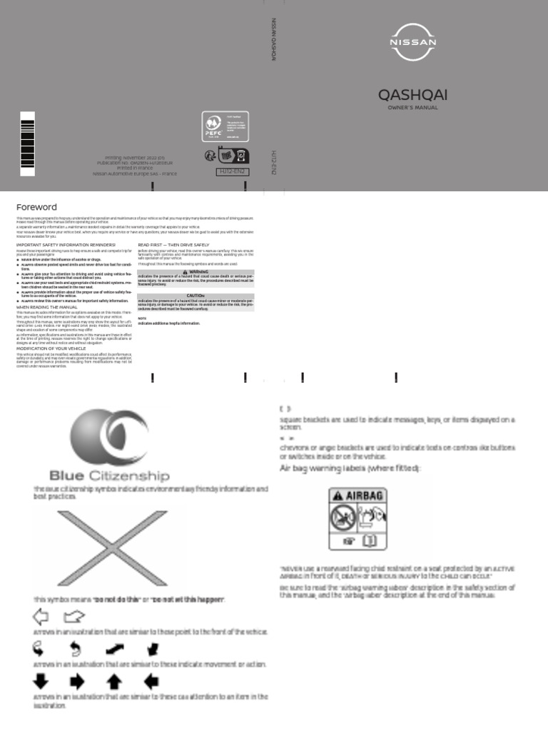 Nissan Qashqai visual data 2