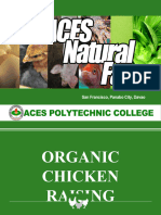 Organic Chicken Raising