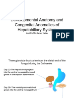 Developmental Anatomy and Congenital Anomalies of Hepatobiliary System2