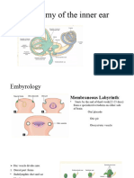 Inner Ear For UG