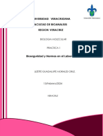 Practica1 LGMC - Biologia Molecular