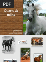Quarto de Milha