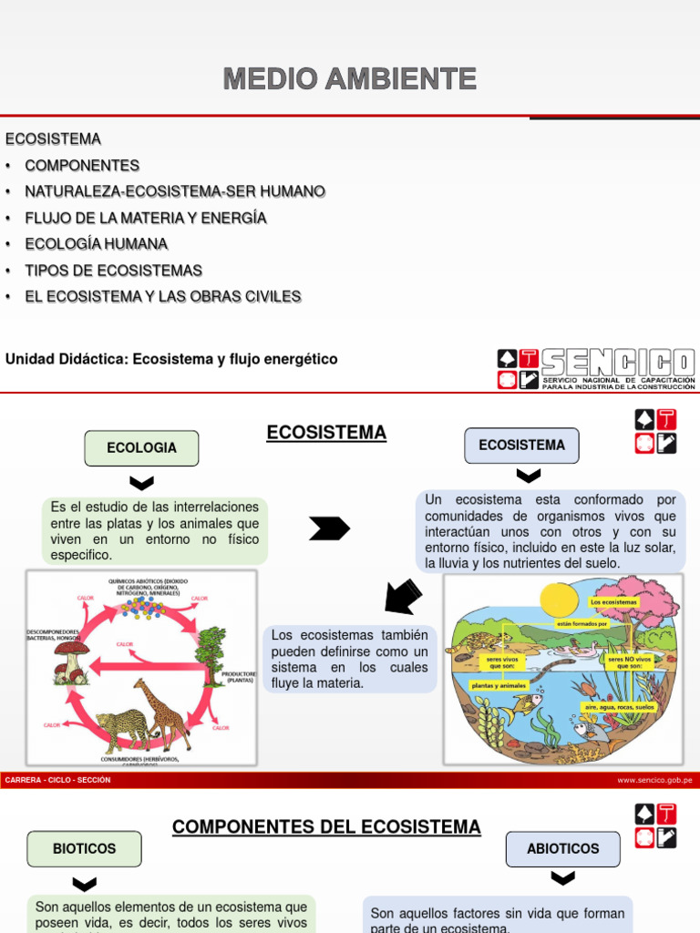 Composición y desequilibrio del ecosistema | PDF | Ecología | Ecosistema