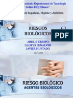 presentacinriesgobiolodico-100119210755-phpapp01