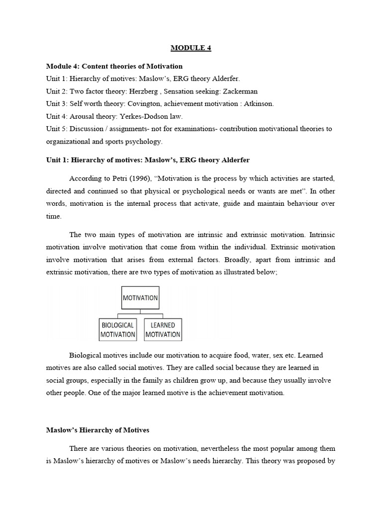 Understanding Motivation Theories | PDF | Motivation | Motivational
