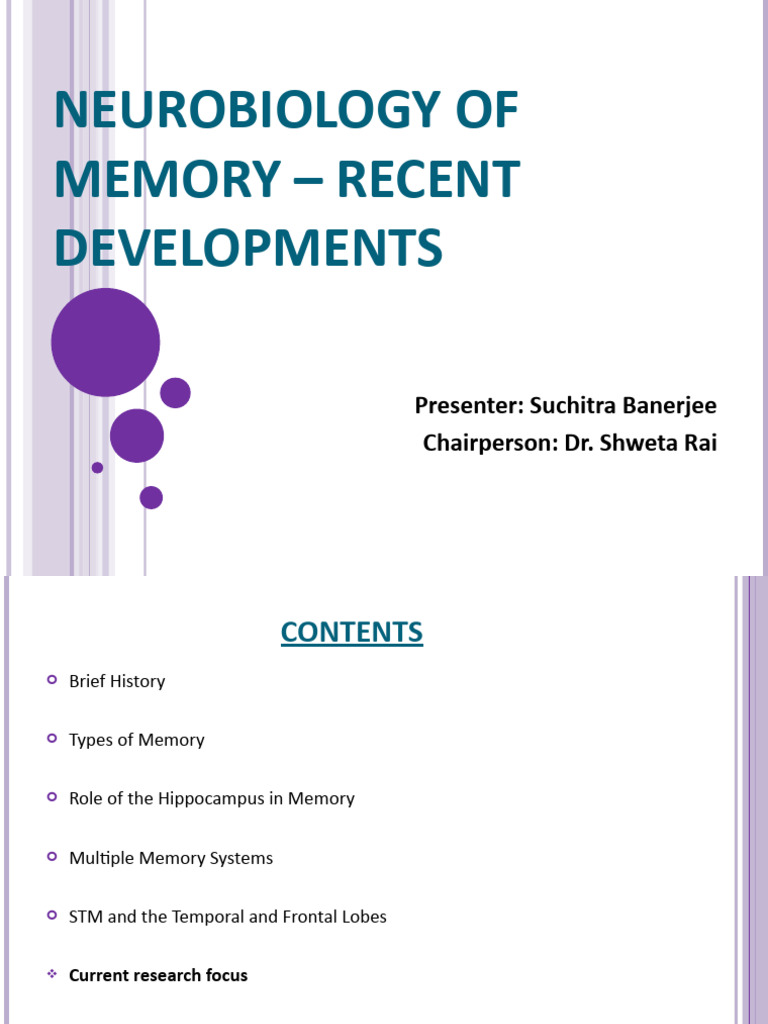 Neurobiology of Memory Insights | PDF | Hippocampus | Memory