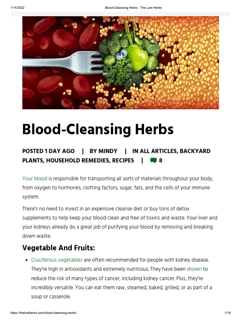 BloodCleansing Herbs The Lost Herbs PDF Tea Blood