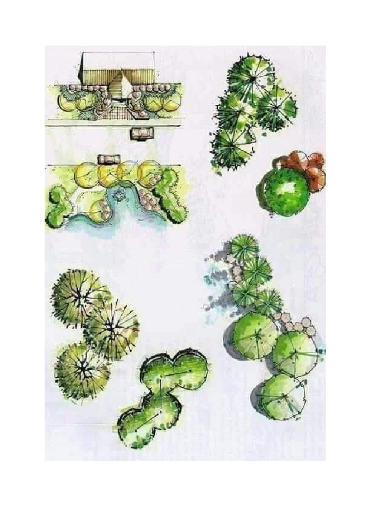Enrichment-Activity Esquisse Architectural Design 6 - Site Development ...
