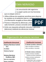 Sistema Nervioso Con Audio Parte 1