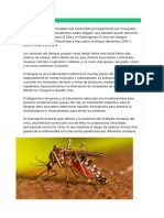 El Dengue Es Una Enfermedad Viral Transmitida Principalmente Por Mosquitos Del Género Aedes