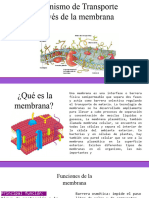 Mecanismo de Transporte A Traves de La Membrana