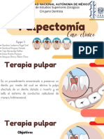 Terapia Pulpar