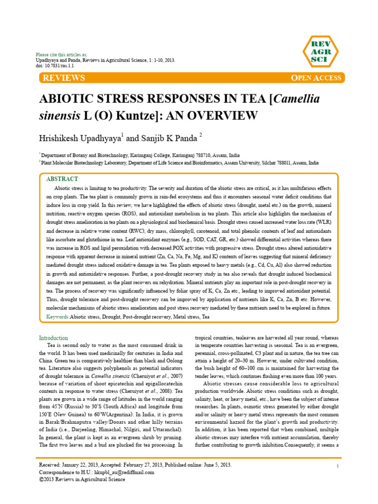 RAS Tea Review | PDF | Reactive Oxygen Species | Antioxidant
