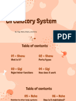 Circulatory System PHE