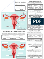 Female Reproductive