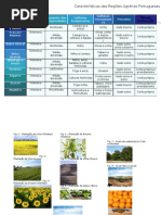 Geografia Caracteristicas Regioes Agrarias Portuguesas Denisealmeida