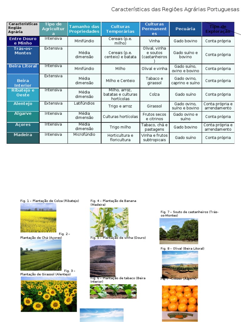 Características das Regiões Agrárias em Portugal | PDF
