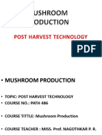 Post Harvest Processing of Mushroom