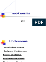 Hookworm (1) 747731995