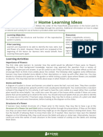 Parts of A Flower Home Learning Ideas