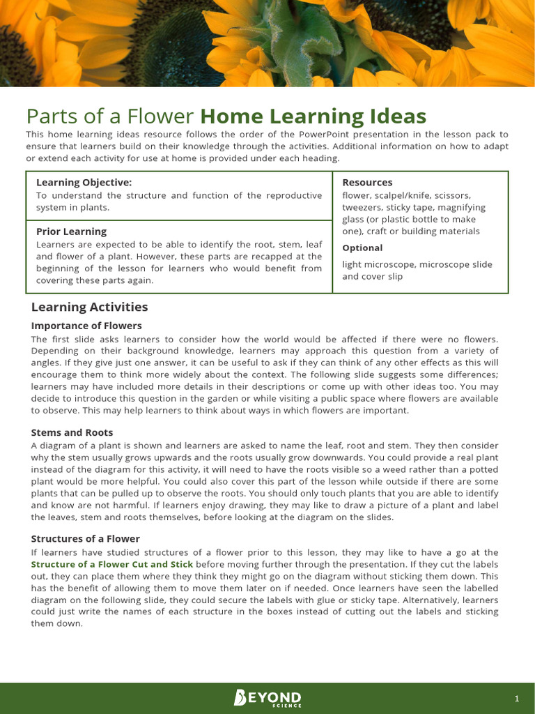 Parts of a Flower Home Learning Ideas | PDF | Learning | Flowers
