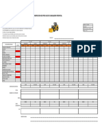 Formatos de Seguridad Cargador